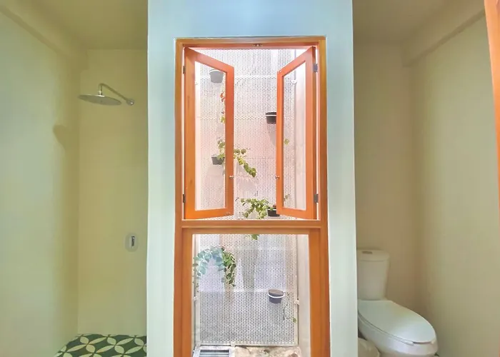 Casa Palo Pensión Cabo San Lucas