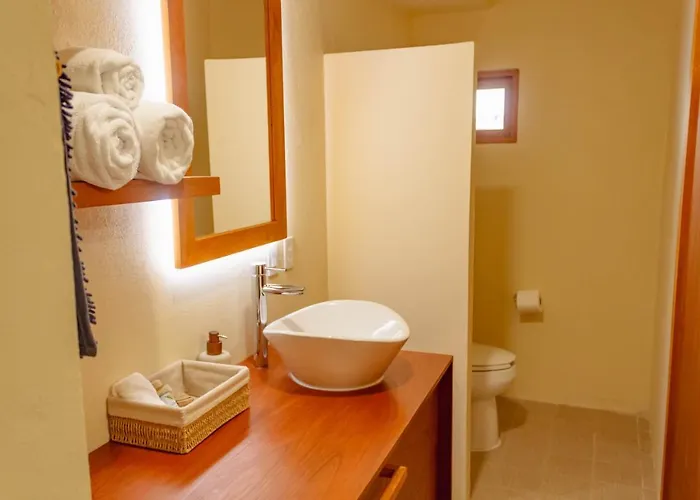 Casa Palo Pensión Cabo San Lucas