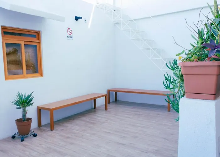 Casa Palo Pensión Cabo San Lucas