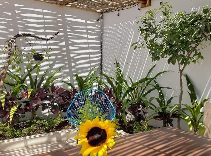 Casa Palo Pensión 4*