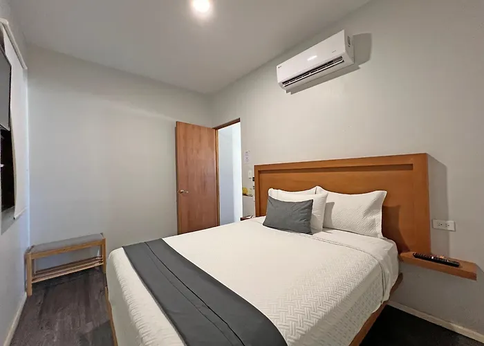 Casa Palo 4*