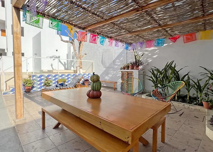 Casa Palo 4*